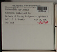 Image Associated With the Occurence